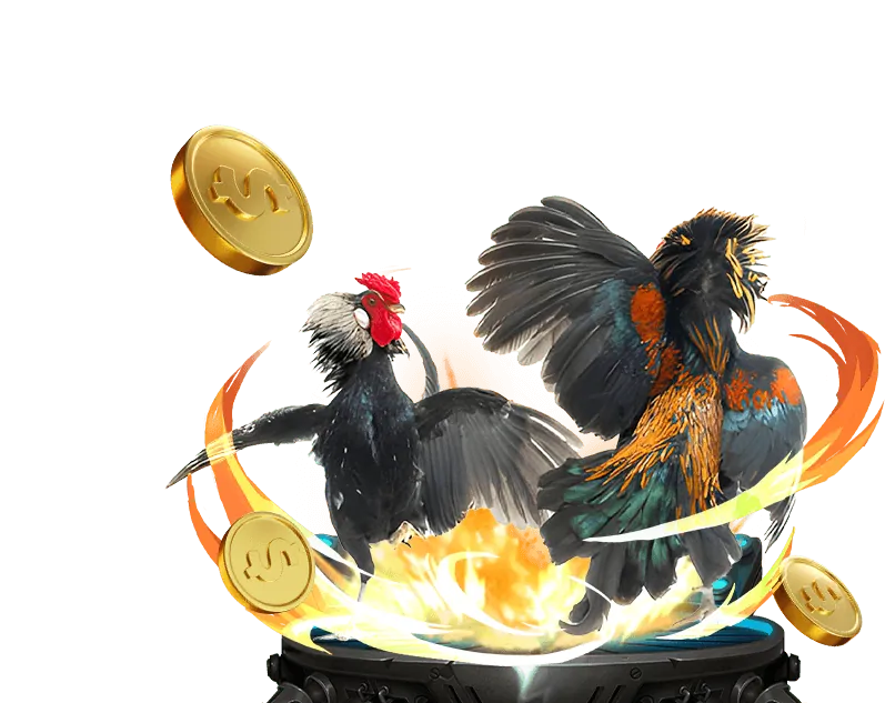 Đá gà Philippines SV388 tại rr888 casino